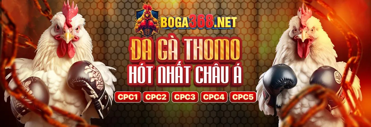 Hình ảnh Câu lạc bộ VIP VB88